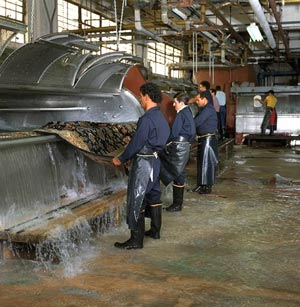 Luster Wash