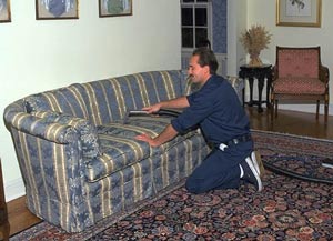 Upholstered Furniture Clean