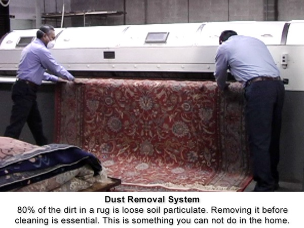 Dust Removal System