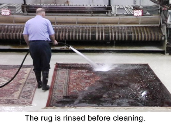 The rug is rinsed before cleaning.