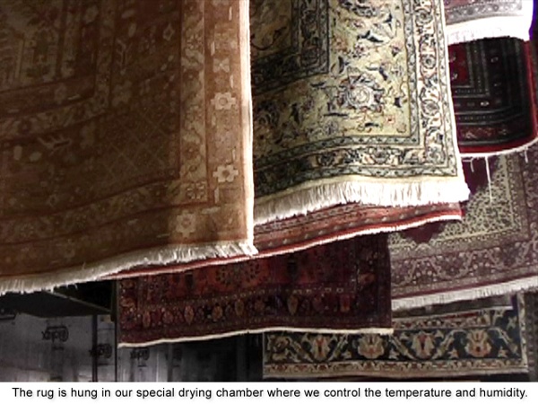 Our drying chamber is temperature and humidity controlled.